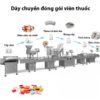 Dây chuyền đóng gói dược phẩm – Dây chuyền Đóng gói thuốc dạng viên